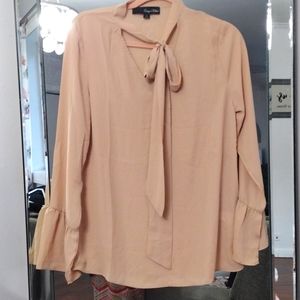 Tan Blouse